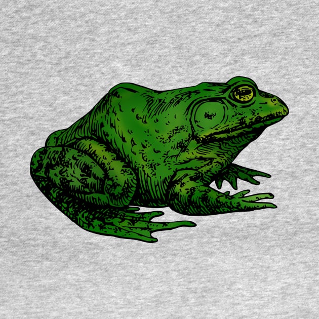 FROG by Shotgaming